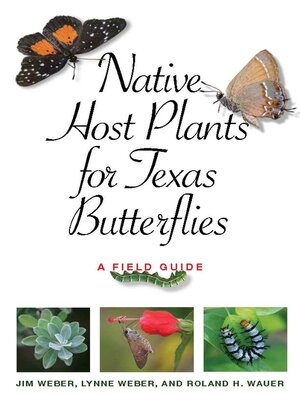 cover image of Native Host Plants for Texas Butterflies